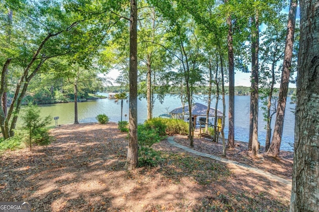 water view featuring a dock