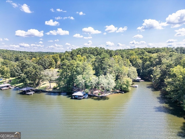 bird's eye view featuring a water view and a forest view