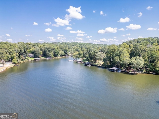 drone / aerial view featuring a water view and a forest view