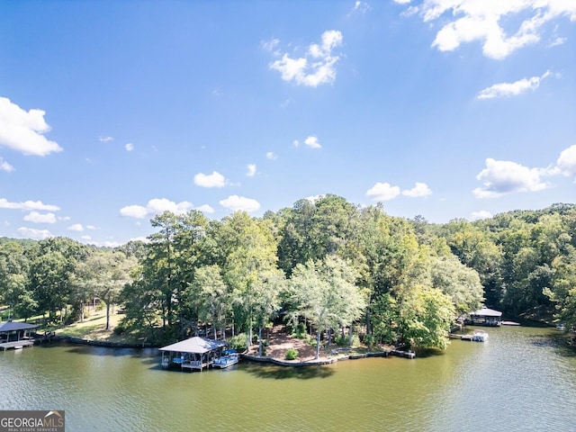 property view of water featuring a forest view