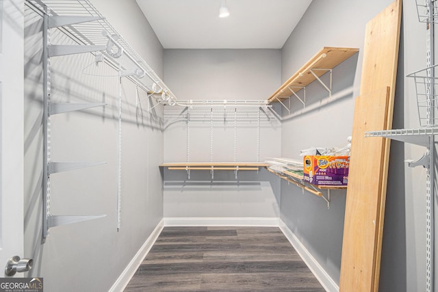 walk in closet featuring dark wood finished floors