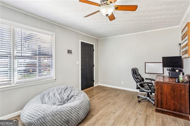 office featuring ceiling fan, baseboards, wood finished floors, and crown molding