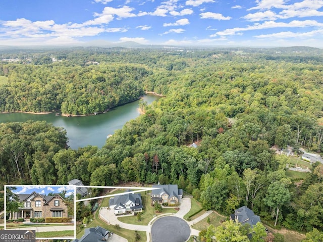 drone / aerial view with a water view and a view of trees