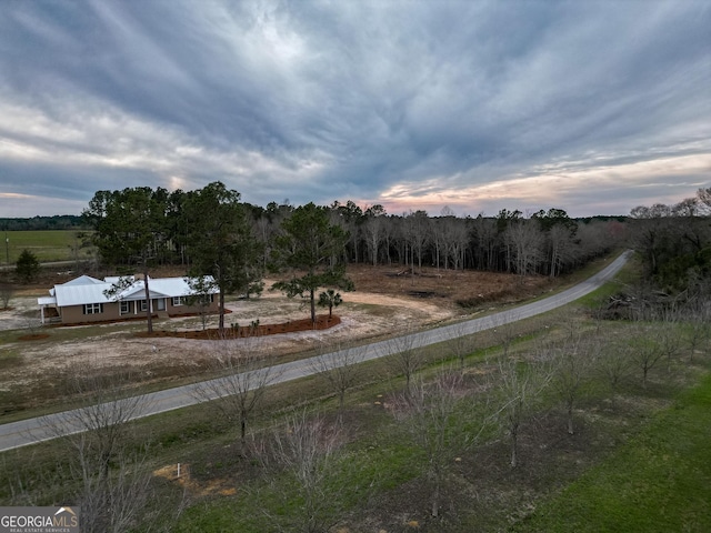 view of yard with a rural view