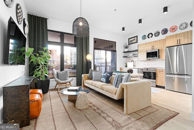 living area with light wood-type flooring