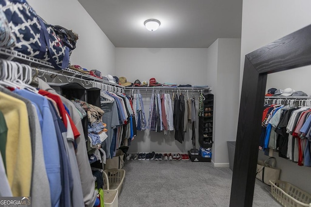 spacious closet featuring carpet floors