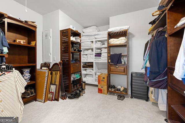 spacious closet featuring carpet flooring