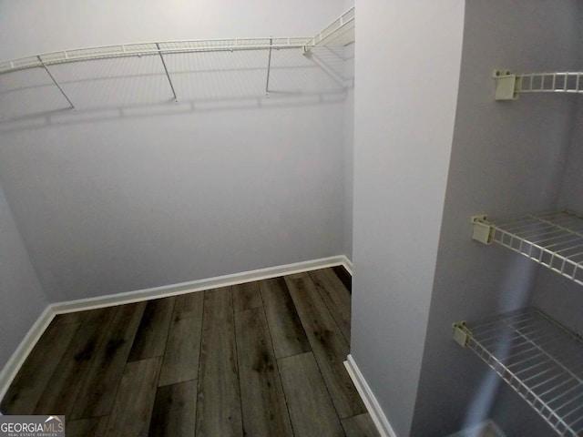 walk in closet featuring wood finished floors