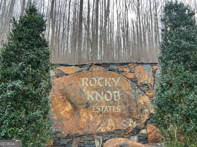 Listing photo 3 for LOT73 Rocky Knob Ests, Young Harris GA 30582