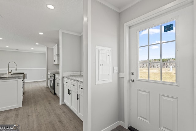 doorway featuring crown molding, recessed lighting, a sink, light wood-type flooring, and electric panel