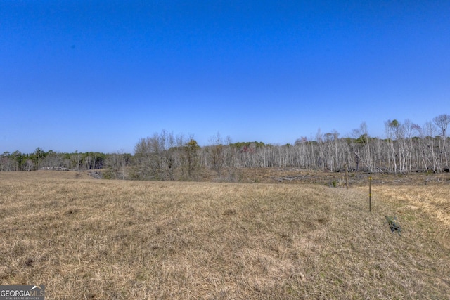 view of local wilderness with a rural view