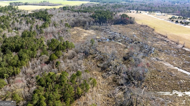 bird's eye view featuring a rural view