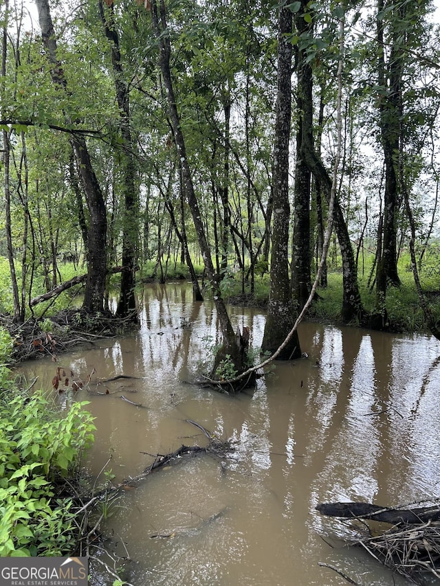 property view of water featuring a view of trees