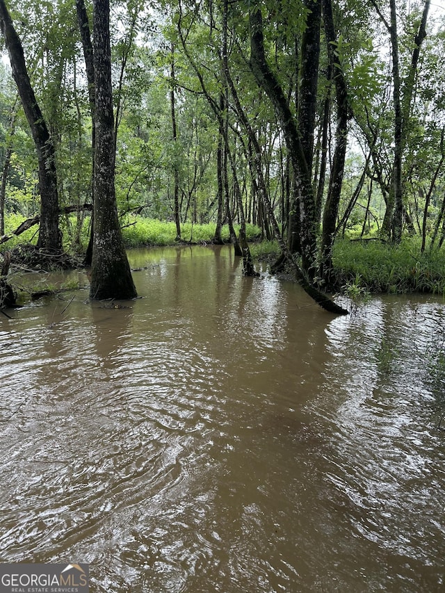 water view featuring a wooded view