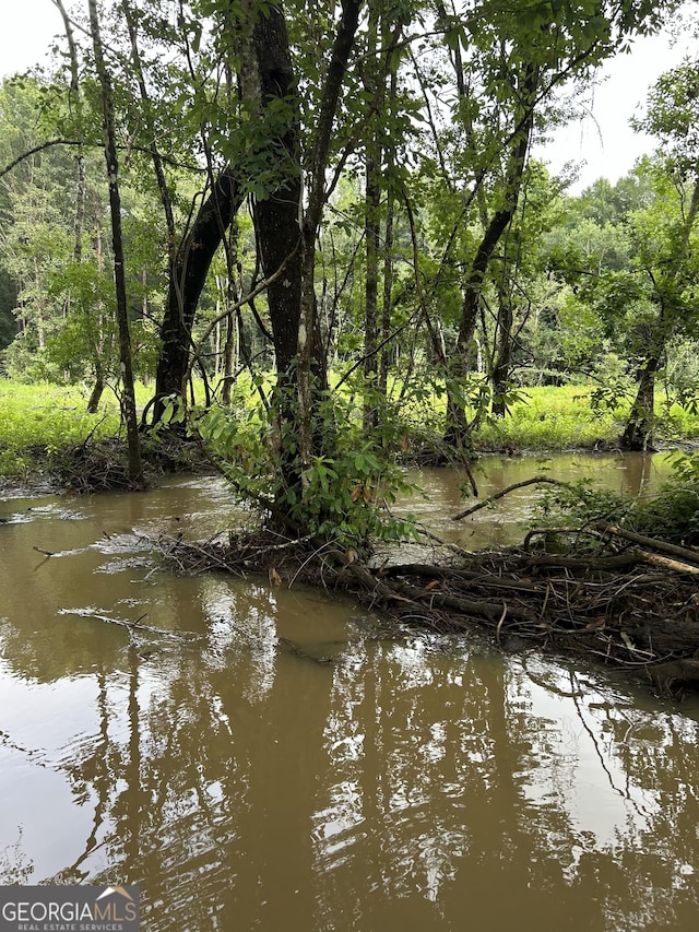 view of water feature featuring a wooded view