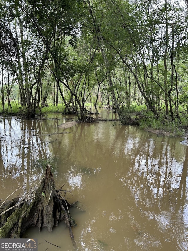 view of water feature featuring a forest view