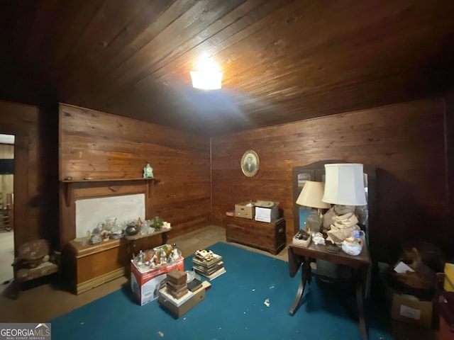 interior space featuring wood walls and wood ceiling