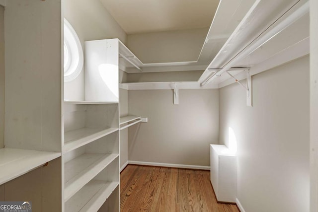 spacious closet featuring wood finished floors