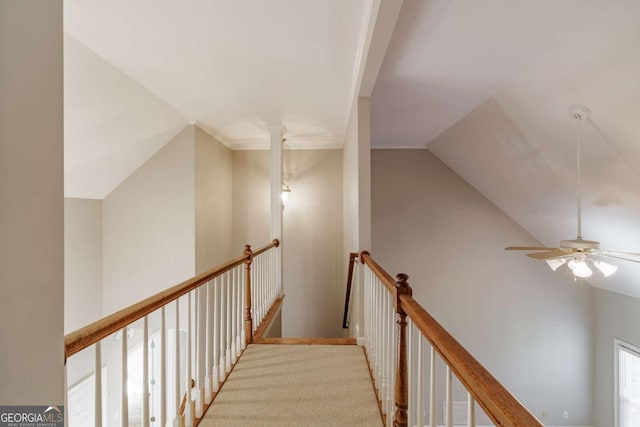 staircase featuring a ceiling fan, lofted ceiling, and carpet