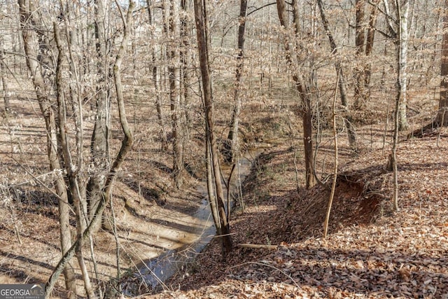 view of nature featuring a wooded view