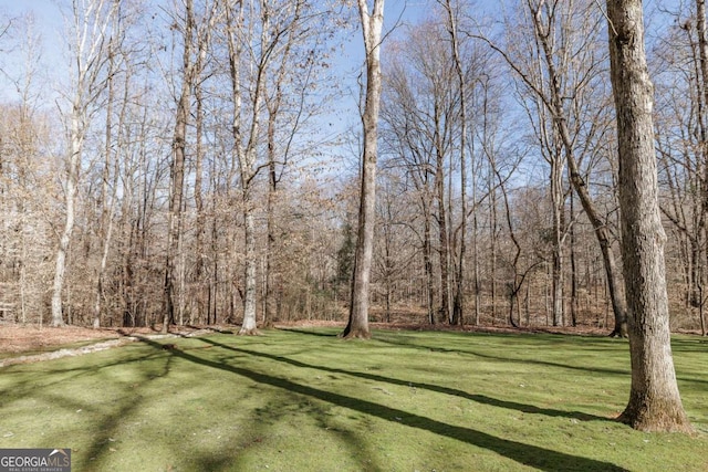 view of yard featuring a view of trees