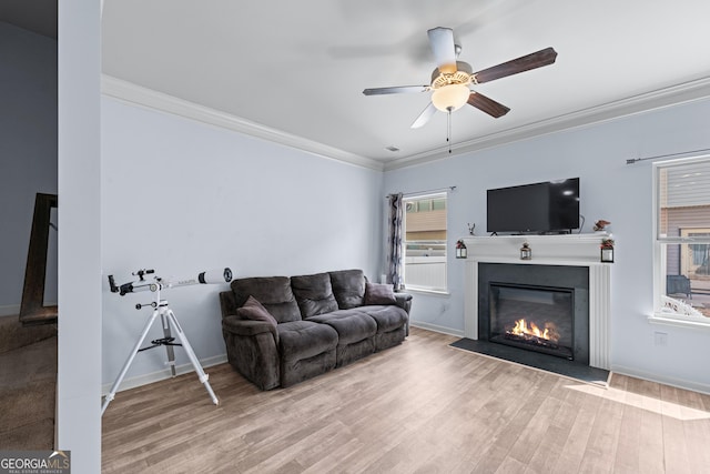 living room featuring a fireplace with flush hearth, crown molding, baseboards, and wood finished floors