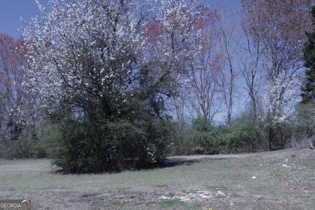 view of local wilderness with a view of trees