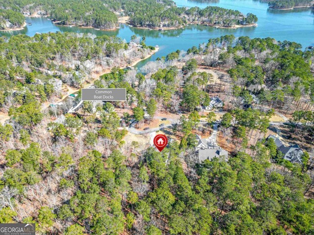 1020 Troublesome Creek Ln, Greensboro, GA 30642 - birds eye view of property with a water view and a forest view