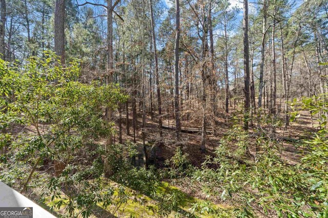 view of local wilderness with a forest view