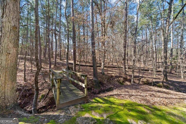 1020 Troublesome Creek Ln, Greensboro, GA 30642 - view of yard