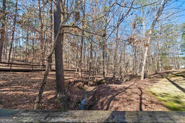 1020 Troublesome Creek Ln, Greensboro, GA 30642 - exterior space