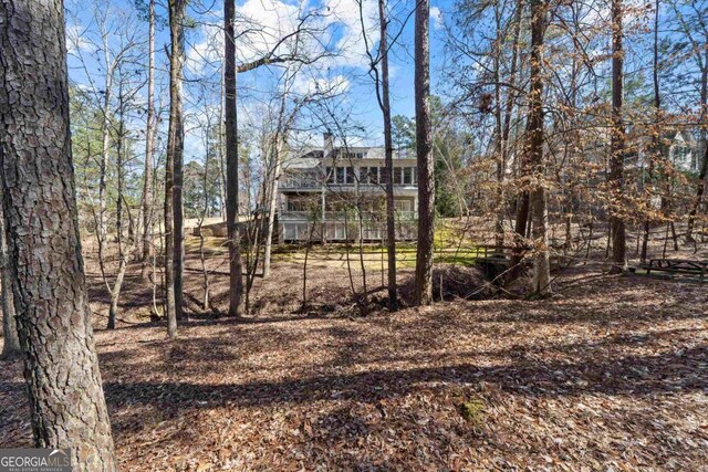 1020 Troublesome Creek Ln, Greensboro, GA 30642 - view of yard