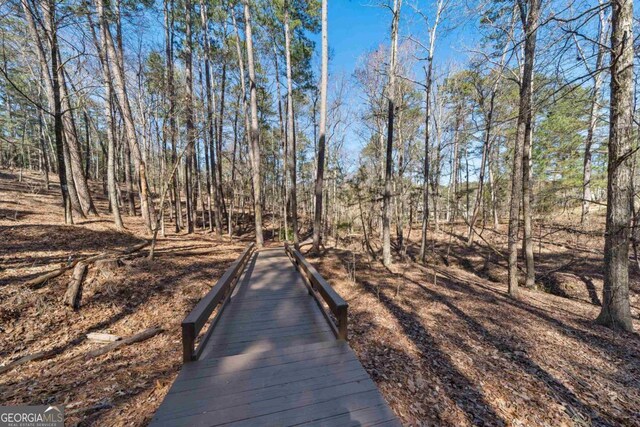 1020 Troublesome Creek Ln, Greensboro, GA 30642 - view of surrounding community