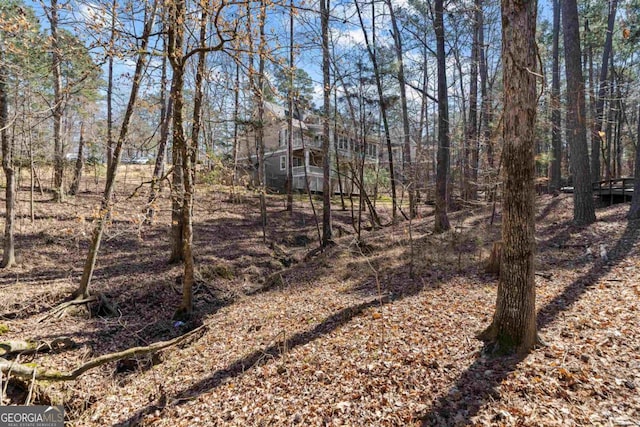 1020 Troublesome Creek Ln, Greensboro, GA 30642 - view of yard