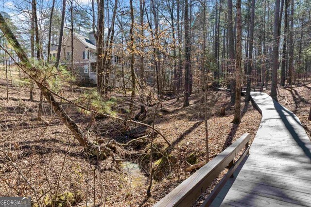 1020 Troublesome Creek Ln, Greensboro, GA 30642 - exterior space