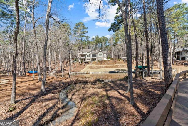1020 Troublesome Creek Ln, Greensboro, GA 30642 - view of yard