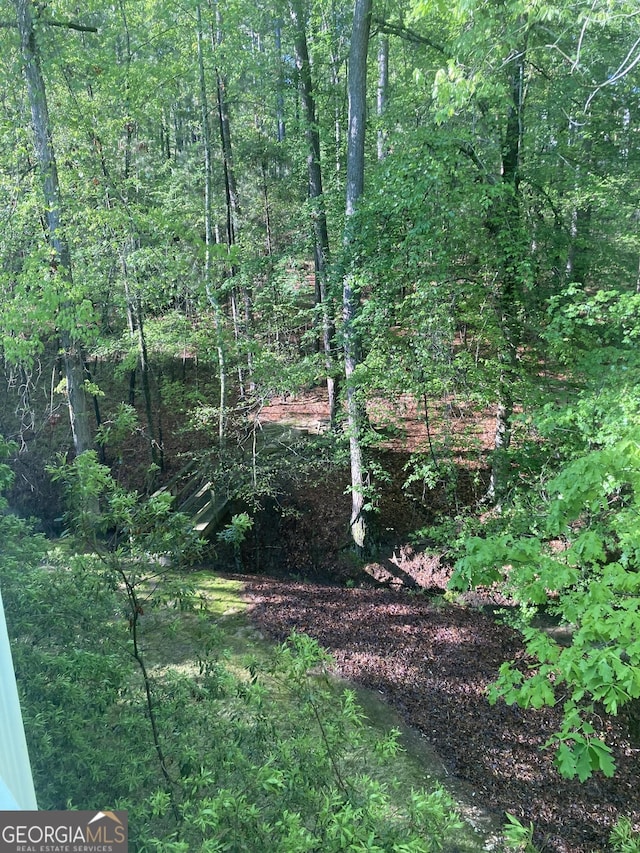 1020 Troublesome Creek Ln, Greensboro, GA 30642 - view of local wilderness featuring a forest view