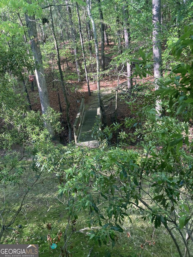 1020 Troublesome Creek Ln, Greensboro, GA 30642 - view of landscape