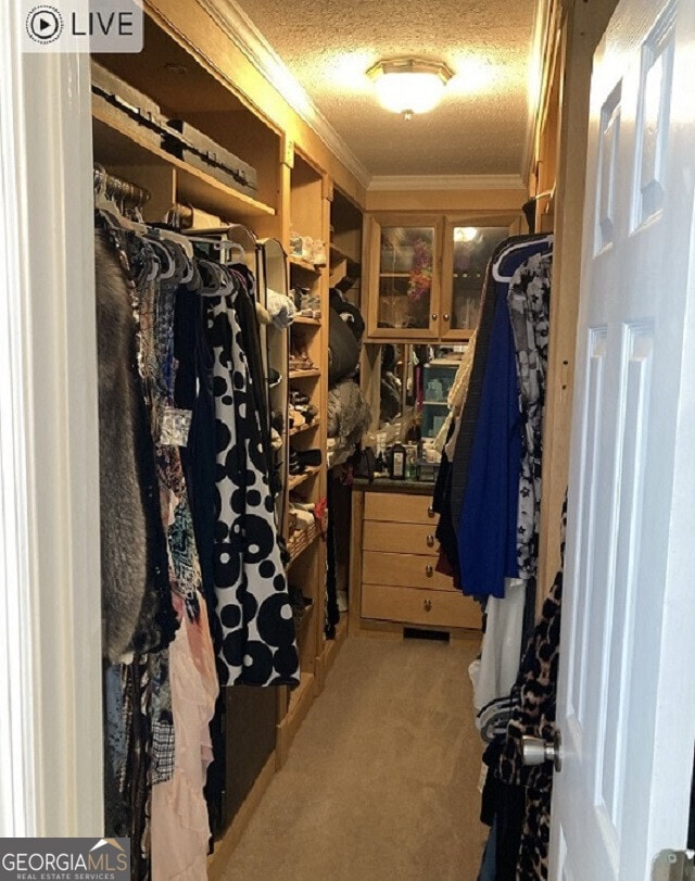 walk in closet with light carpet