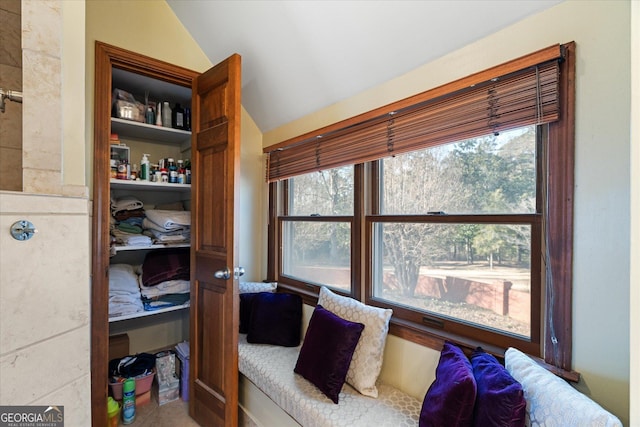 sitting room with vaulted ceiling and a wealth of natural light