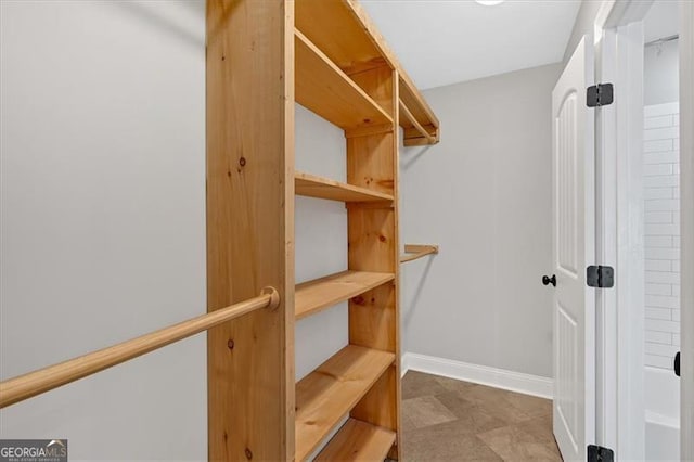 view of walk in closet