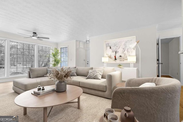 living room with a ceiling fan, crown molding, and wood finished floors