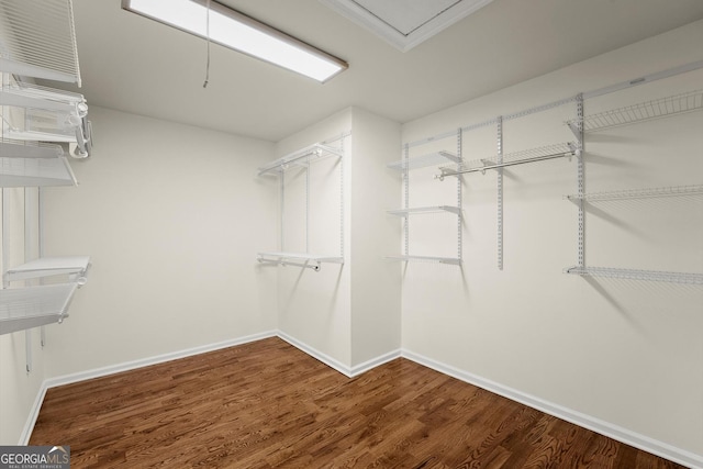 spacious closet featuring wood finished floors