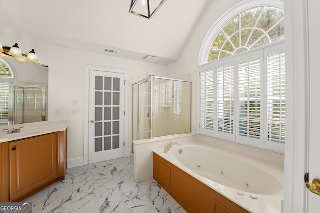 bathroom with a shower stall, a wealth of natural light, and vanity