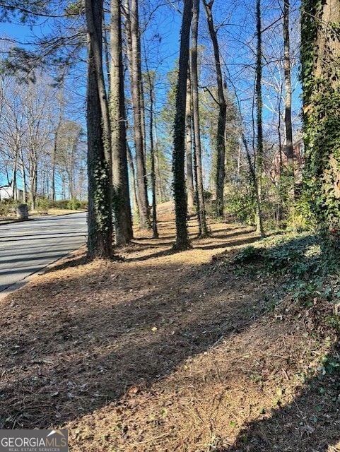 3344 Prince George St, Atlanta GA, 30344 land for sale