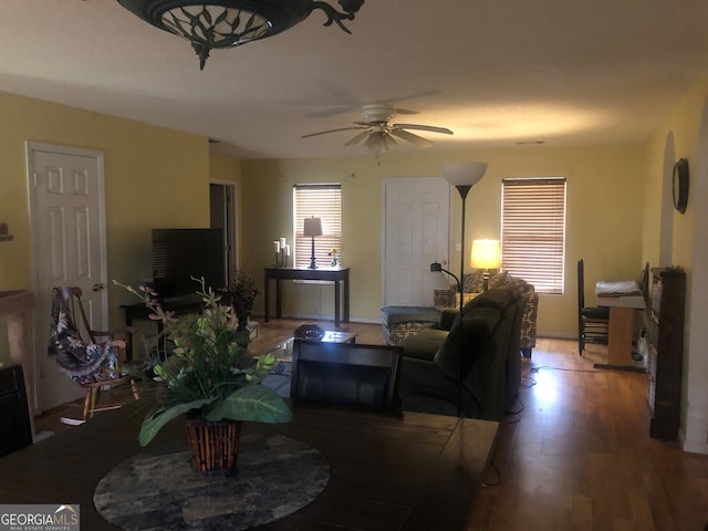 living area featuring a ceiling fan and wood finished floors