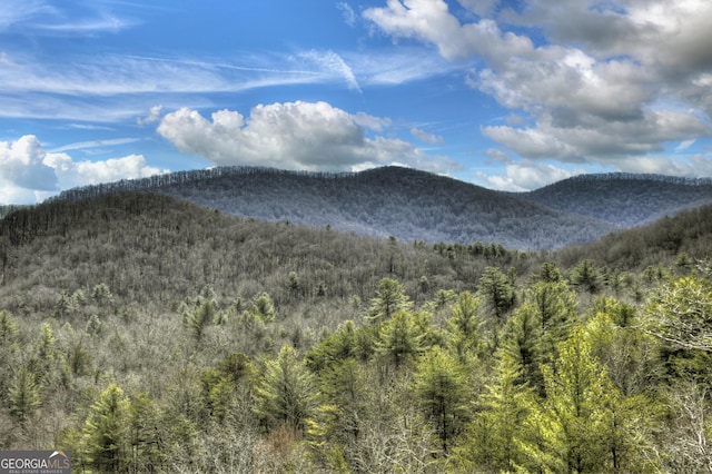 mountain view with a wooded view