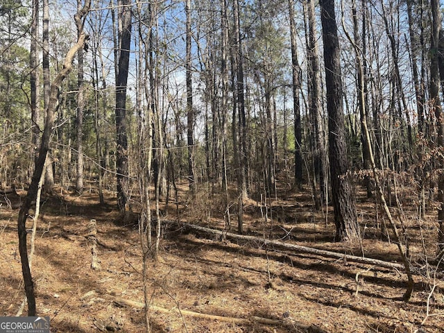 0 Mauldin Rd, Thomaston GA, 30286 land for sale