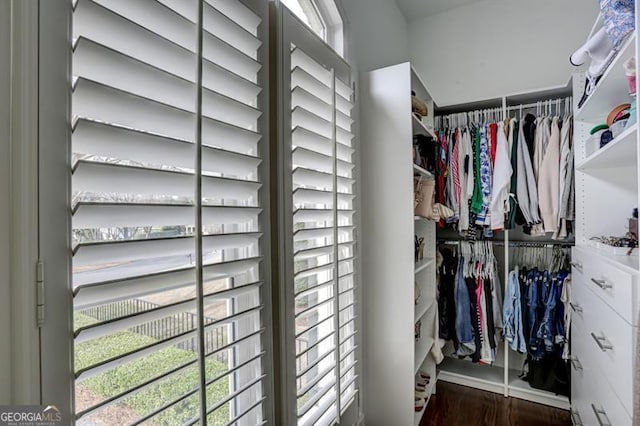 walk in closet featuring wood finished floors