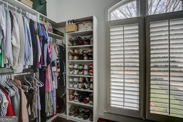 view of spacious closet